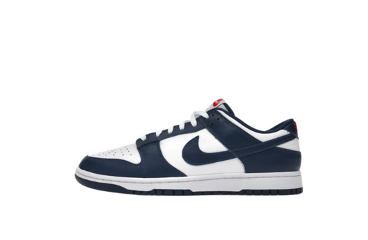 Nike Dunk Valerian Blue Low
